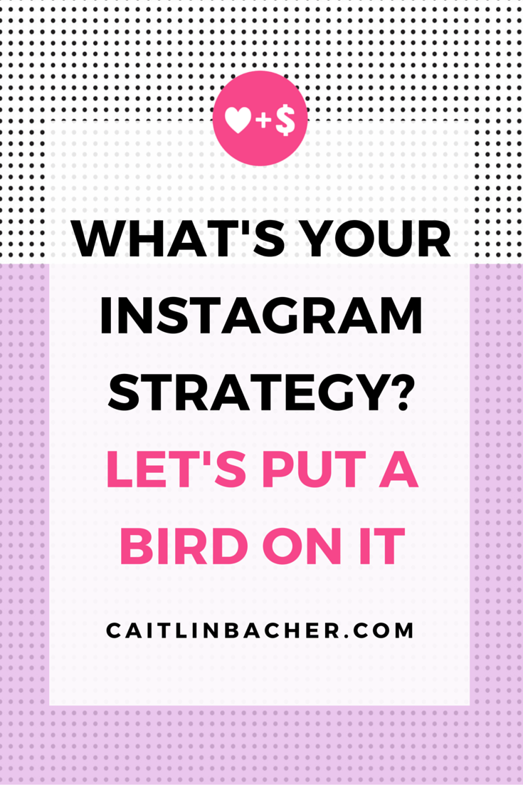 What's Your Instagram Strategy? Let's Put A Bird On It | Caitlin Bacher