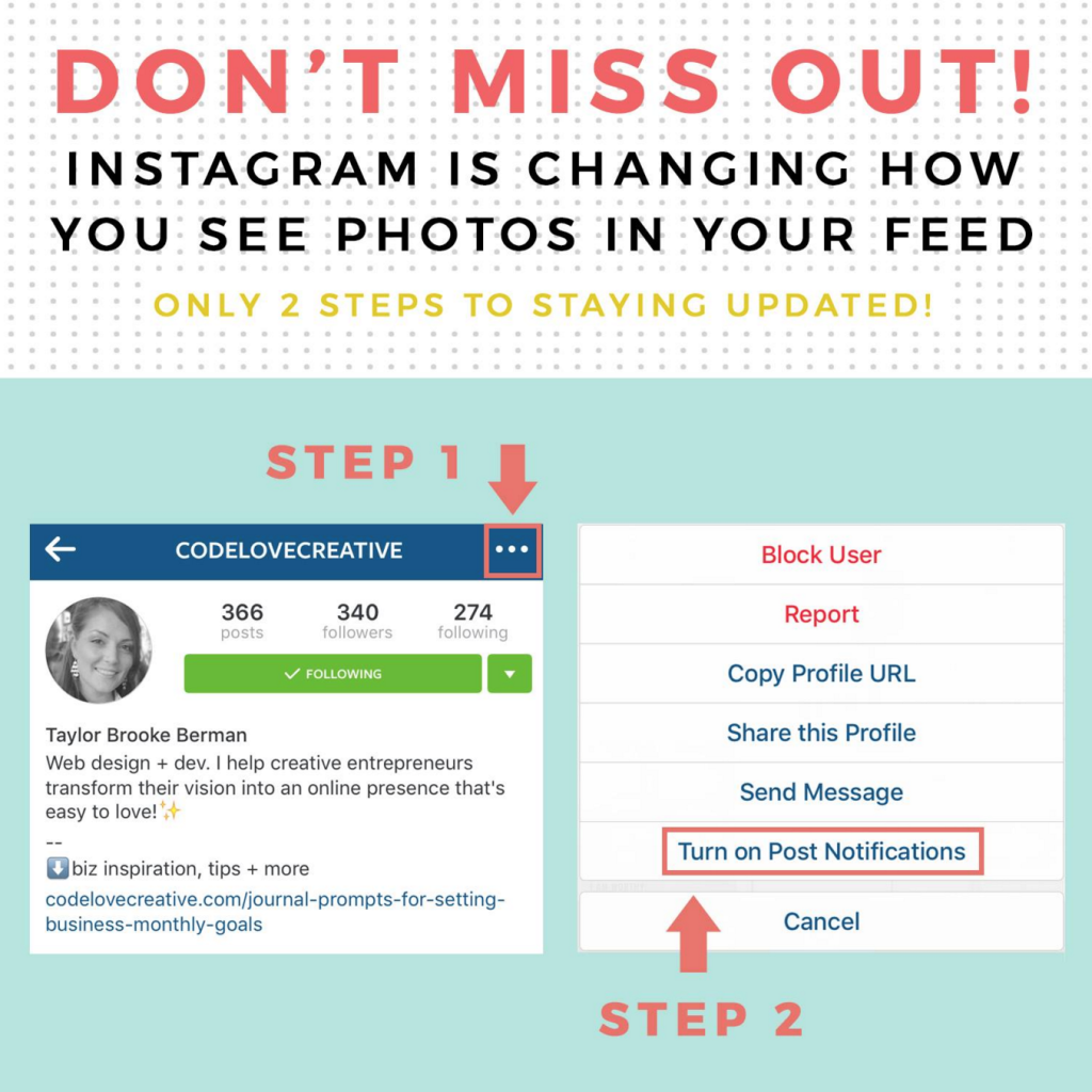 How To Turn On Instagram Post Notifications | caitlinbacher.com