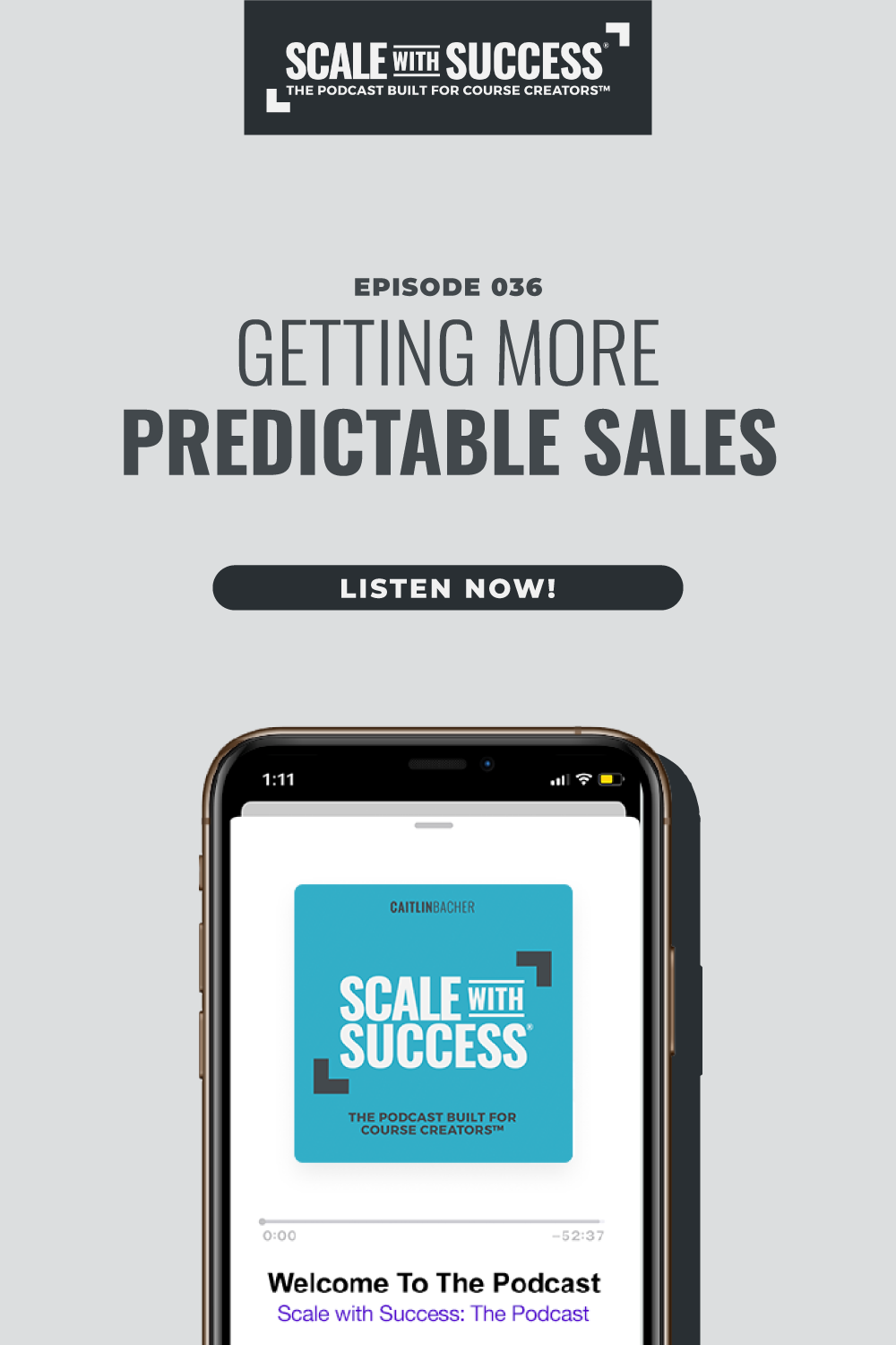 Getting More Predictable Sales | Scale WIth Success | Course Creator | Business Tips | caitlinbacher.com